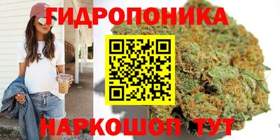 дмт Ипатово