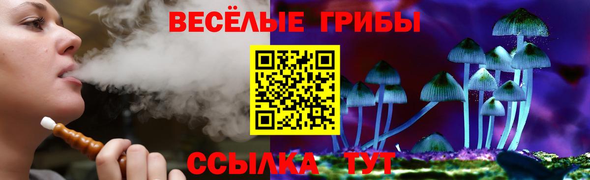 Псилоцибиновые грибы Psilocybine cubensis Майский